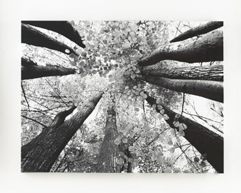 Ananya Signature Design by Ashley Wall Art