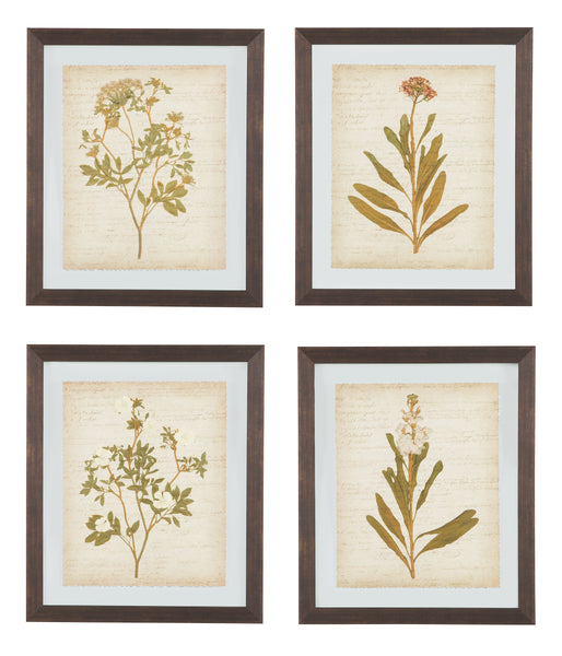 Dyani Signature Design by Ashley Wall Art Set of 4