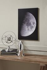 Draco Signature Design by Ashley Wall Art