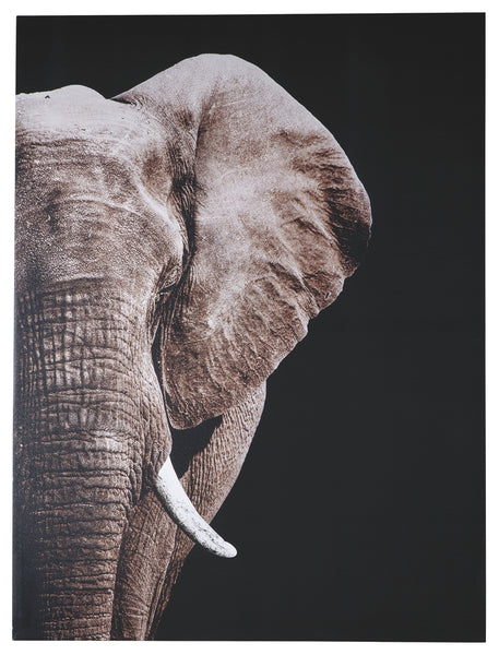 Jendayi Signature Design by Ashley Wall Art